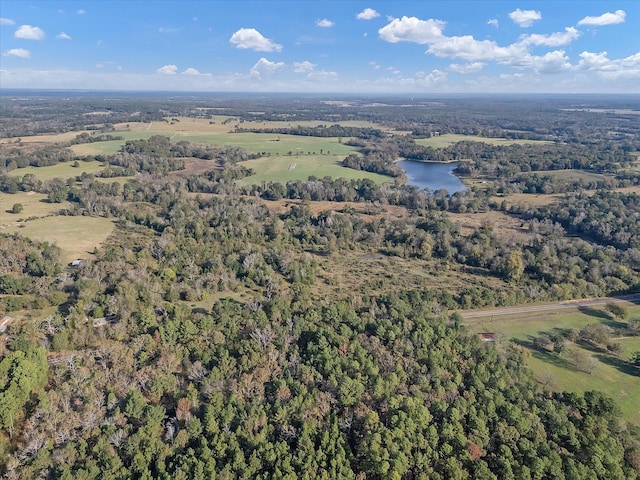 2640 Fm 2339, Ben Wheeler, TX 75754