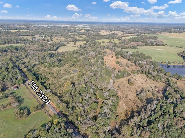 2640 Fm 2339, Ben Wheeler, TX 75754
