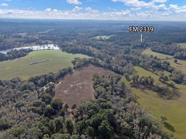 2640 Fm 2339, Ben Wheeler, TX 75754