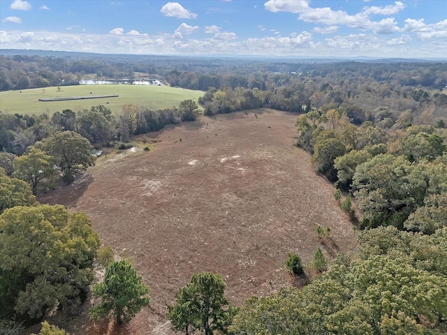 2640 Fm 2339, Ben Wheeler, TX 75754