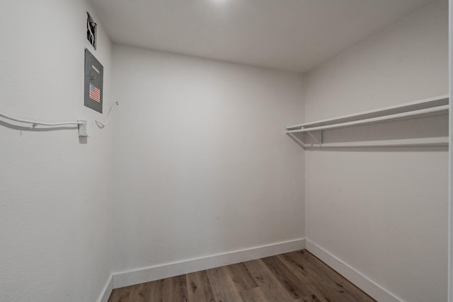509 Twilight Dr, Garland, TX 75040 - walk in closet featuring wood finished floors and electric panel