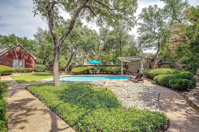 8921 Crest Ridge Dr, Fort Worth, TX 76179 - swimming pool with a pergola, a patio, and view of scattered trees
