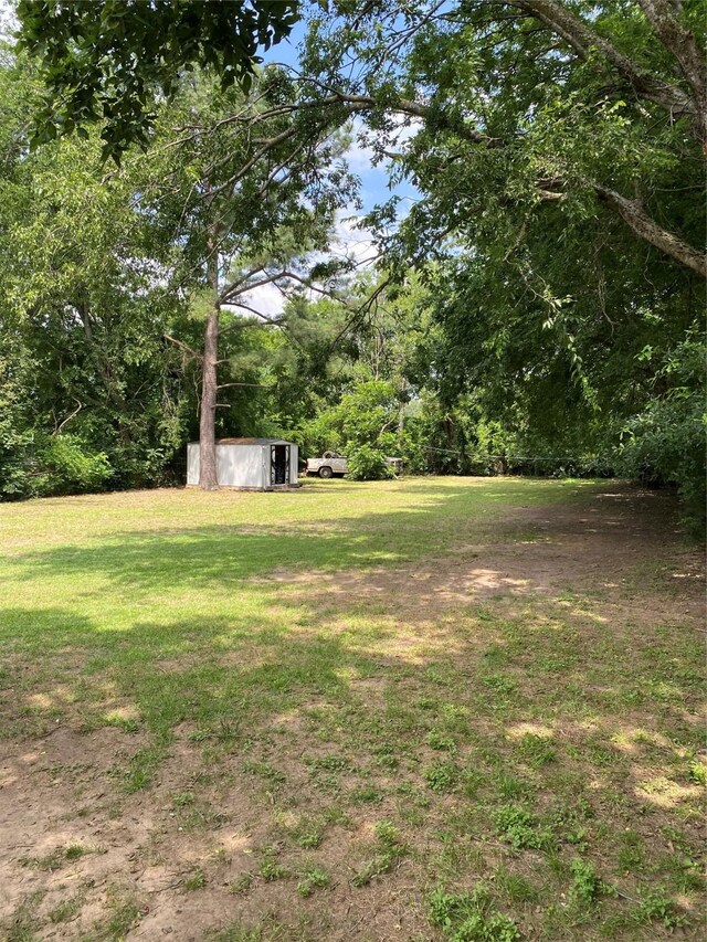 313 Wall St, Terrell, TX 75160 - view of grassy yard