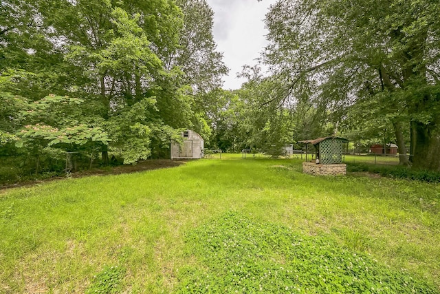 841 20th St SE, Paris, TX 75460 - view of yard