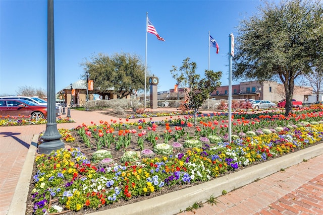 1137 Olympic Dr, Celina, TX 75009 - view of community