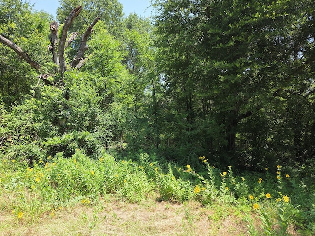 TBD4.18ACS Fm-488, Streetman, TX 75859