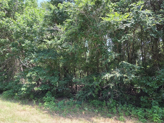 TBD4.18ACS Fm-488, Streetman, TX 75859