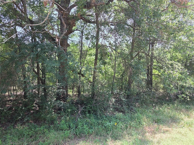 TBD4.18ACS Fm-488, Streetman, TX 75859