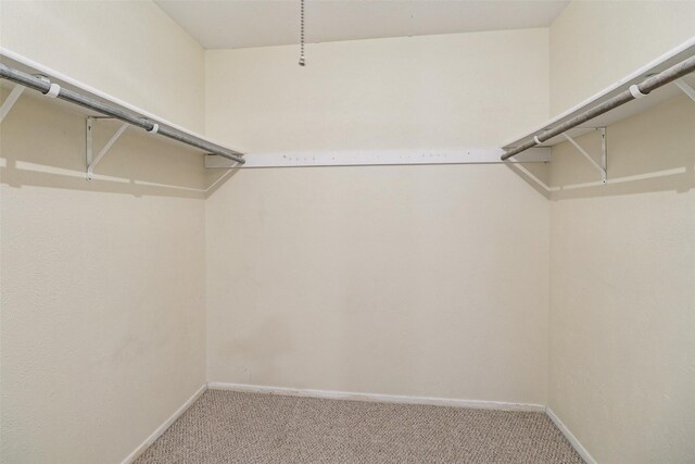 2622 Briar Hill Dr, Carrollton, TX 75007 - walk in closet featuring carpet floors