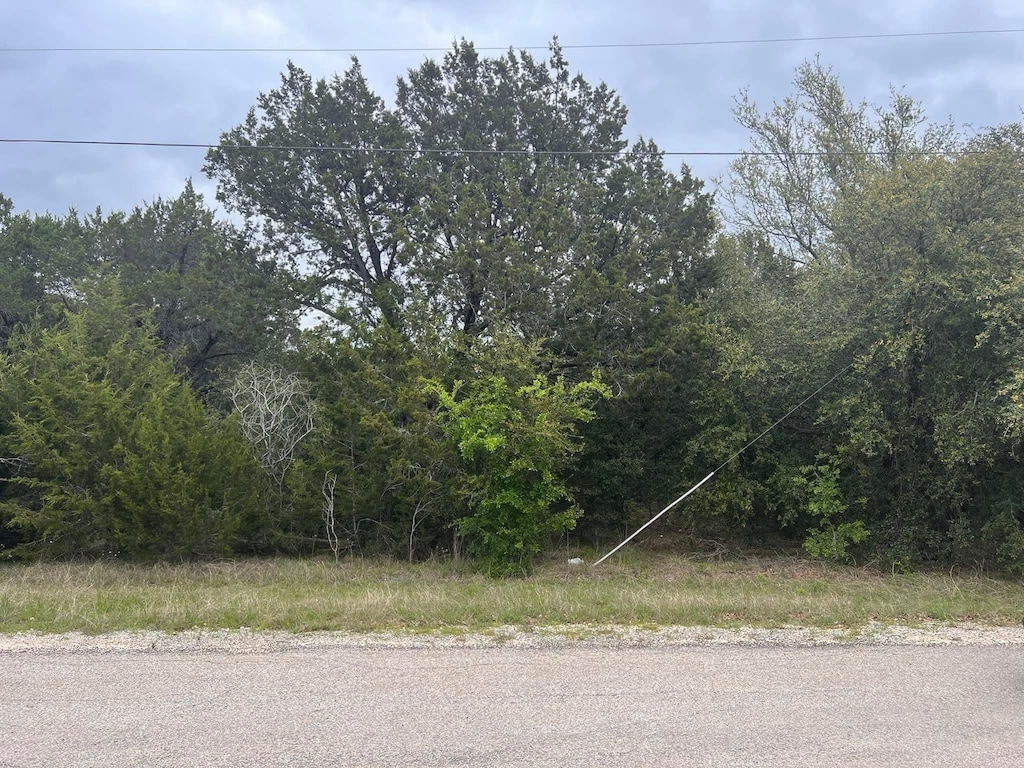 44028 Fringewood Dr, Whitney, TX 76692