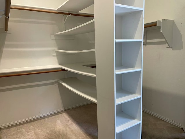 11008 Hermitage Ln, Frisco, TX 75035 - walk in closet with carpet floors