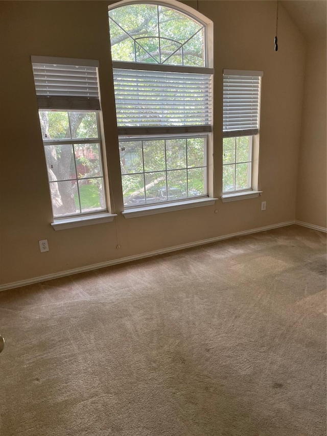 11008 Hermitage Ln, Frisco, TX 75035 - unfurnished room with plenty of natural light, carpet, and baseboards