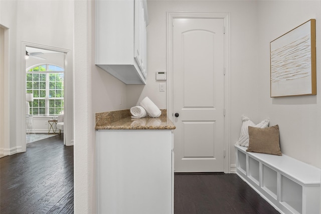 2820 Annandale Dr, Trophy Club, TX 76262 - washroom with dark wood finished floors and ceiling fan