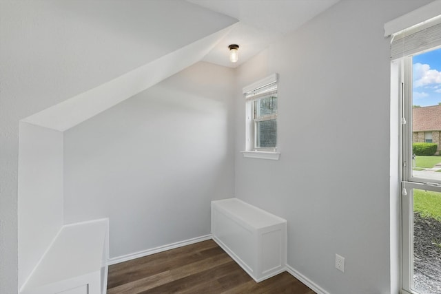 4448 Atlanta Dr, Plano, TX 75093 - additional living space with dark wood-style floors, vaulted ceiling, and baseboards
