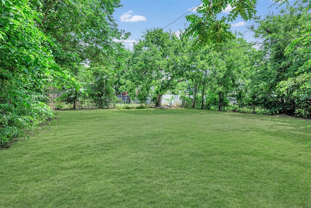 2735 Grafton Ave, Dallas, TX 75211 - view of yard