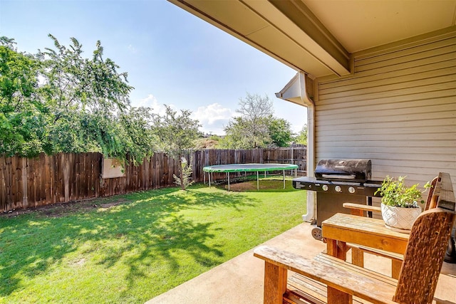320 Westgate Dr, Aledo, TX 76008 - view of yard with a trampoline and a patio area
