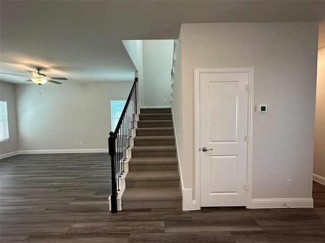 123 Monarch Way, Wylie, TX 75098 - staircase with baseboards, a ceiling fan, and wood finished floors