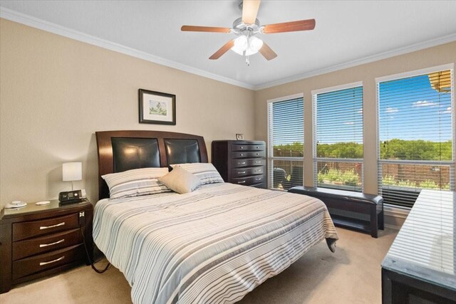 1407 Deer Hollow Dr, Arlington, TX 76002 - bedroom featuring light carpet, multiple windows, ornamental molding, and a ceiling fan