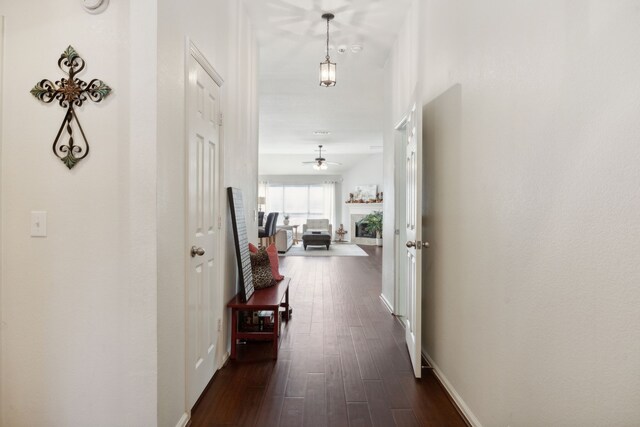 2748 Thorncreek Ln, Fort Worth, TX 76177 - hall with dark wood finished floors and baseboards