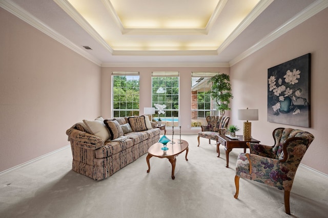 8005 Jefferson Cir, Colleyville, TX 76034 - living area with carpet floors, a tray ceiling, crown molding, and baseboards