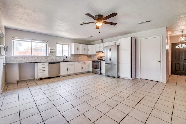 1709 Meadow Vly, Irving, TX 75060 - kitchen with stainless steel appliances, a sink, ceiling fan, a textured ceiling, and decorative backsplash