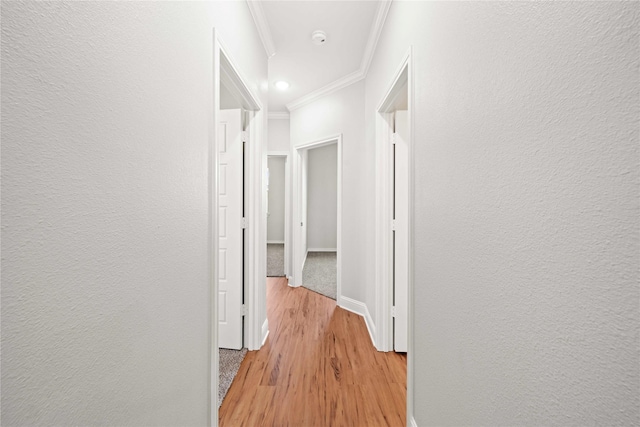 120 Hay Meadow Dr, Winona, TX 75792 - corridor with crown molding, light wood finished floors, baseboards, and a textured wall