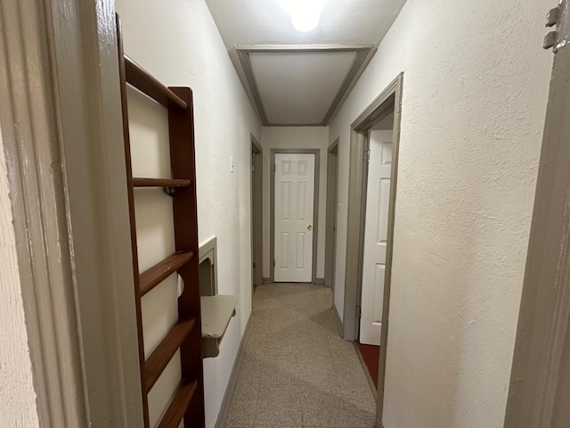 1517 Maple Dr, Garland, TX 75042 - hall with carpet floors