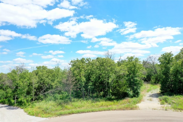 120 Bear Cat Ct, Alvord, TX 76225