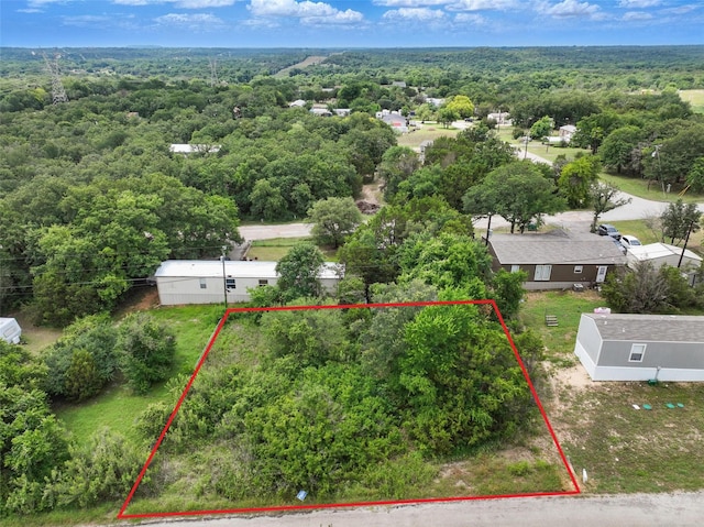 4019 W Virginia Dr, Granbury, TX 76048
