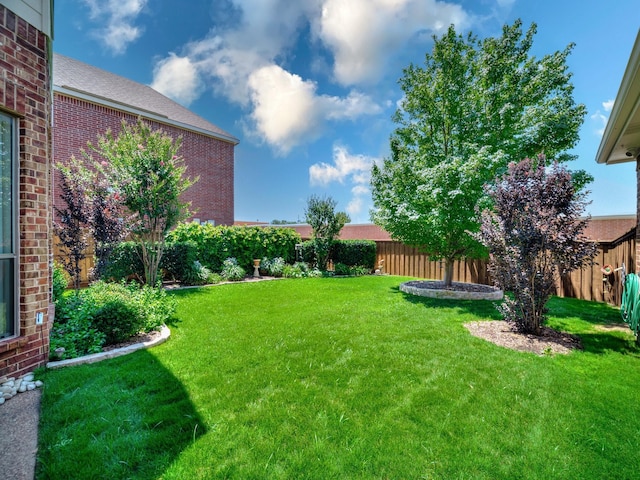 8009 Marathon Dr, Plano, TX 75024 - view of fenced backyard