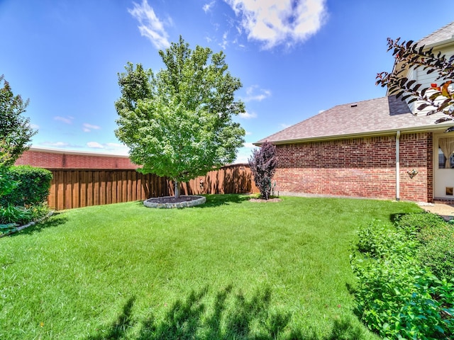 8009 Marathon Dr, Plano, TX 75024 - view of yard