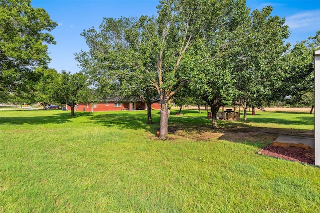 1419 Hinchliffe Rd, Mexia, TX 76667 - view of grassy yard