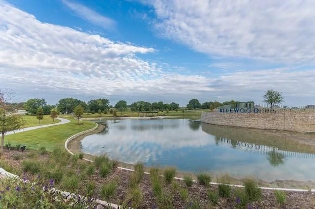720 Lawndale St, Celina, TX 75009 - water view