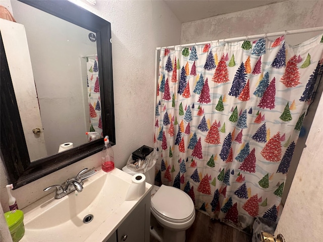 133 E Wanda Dr, Garland, TX 75040 - bathroom with a textured wall, vanity, toilet, and a shower with curtain