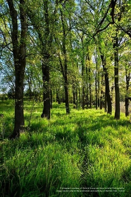 3124 Hoyle, Mckinney, TX 75071 - view of undeveloped land