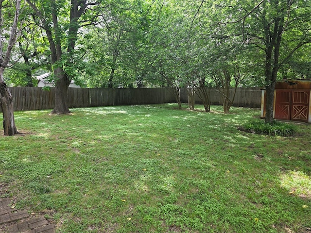 212 W 7th St, Lancaster, TX 75146 - view of yard