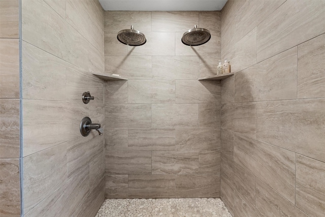 10048 E State Highway 36, Jonesboro, TX 76538 - full bathroom featuring tiled shower