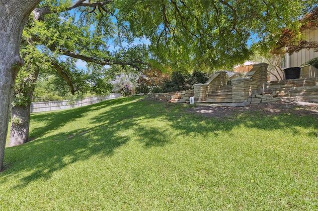 6015 Meadowcreek Dr, Dallas, TX 75248 - view of yard