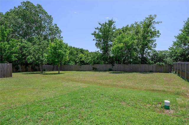 110 Thode St, Whitesboro, TX 76273 - view of yard