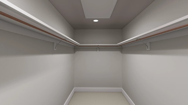 1618 Mint Rd, Argyle, TX 76226 - view of spacious closet