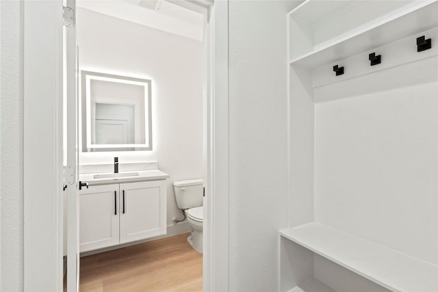 4523 Wahoo St, Dallas, TX 75210 - mudroom featuring light wood-style floors and a sink
