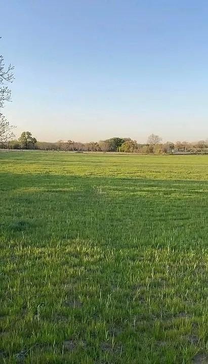 LOT7 County Road 3420, Bridgeport, TX 76426
