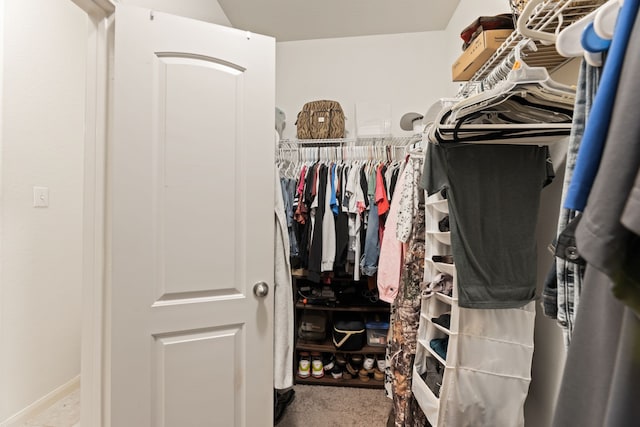 1615 White Mountain Way, Princeton, TX 75407 - view of spacious closet