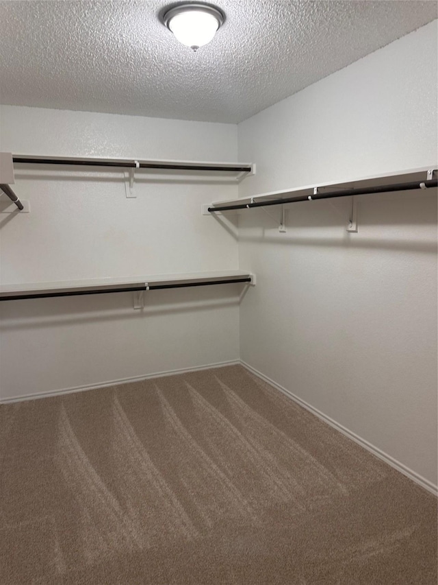 195 Rolling Ct, Lancaster, TX 75146 - walk in closet featuring carpet floors