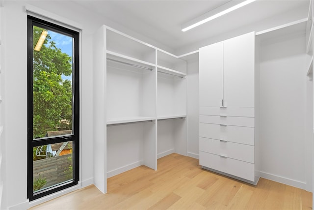 5029 Pershing St, Dallas, TX 75206 - walk in closet with light wood-style flooring