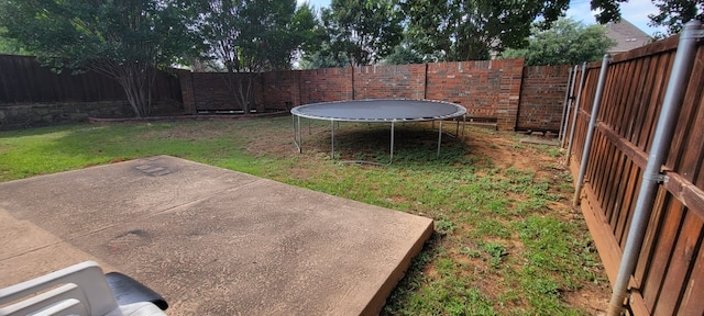 301 Crepe Myrtle Dr, Euless, TX 76039 - fenced backyard with a trampoline and a patio