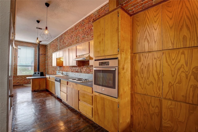 1213 Washington St Unit B, Commerce, TX 75428 - kitchen featuring stainless steel appliances, under cabinet range hood, brick wall, dark wood-type flooring, and hanging light fixtures