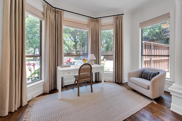 4340 Powers Branch Dr, Midlothian, TX 76065 - office area with healthy amount of natural light, ornamental molding, and wood finished floors