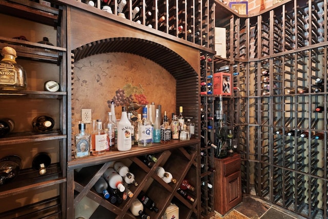 1608 Rivercrest Ct, Fort Worth, TX 76107 - view of wine cellar