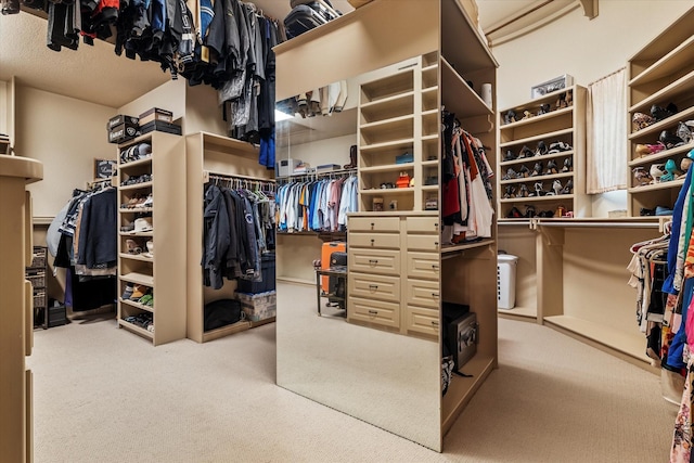1608 Rivercrest Ct, Fort Worth, TX 76107 - spacious closet featuring carpet